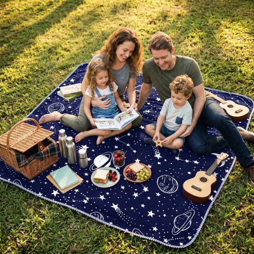 koc piknikowy kosmos 3.png